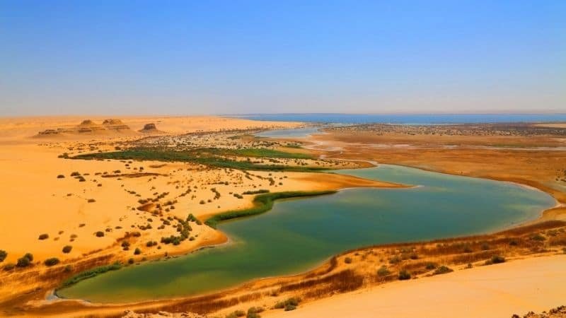 Tour nel deserto egiziano di 15 giorni