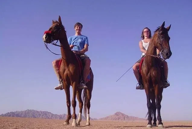 Passeggiata a cavallo a Dahab