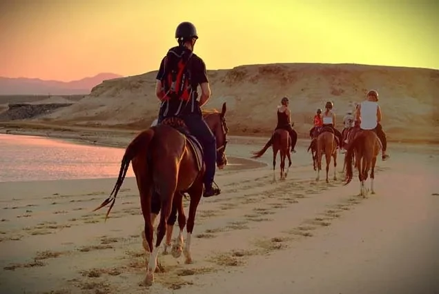 Passeggiata a cavallo a Dahab