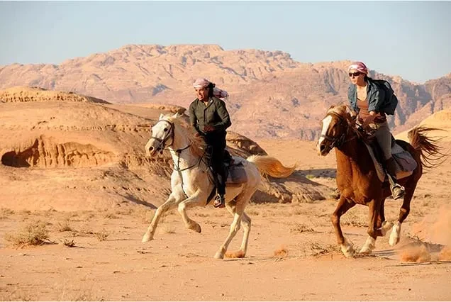 Passeggiata a cavallo a Dahab