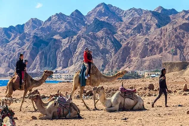 Passeggiata a cavallo a Dahab