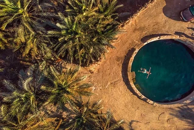 Tour nel deserto egiziano di 15 giorni