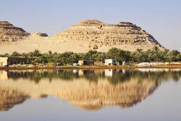Tour nel deserto egiziano di 11 giorni
