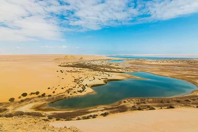 Tour nel deserto egiziano di 11 giorni