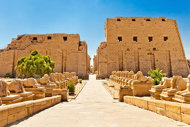 Tour nel Deserto Bianco d’Egitto