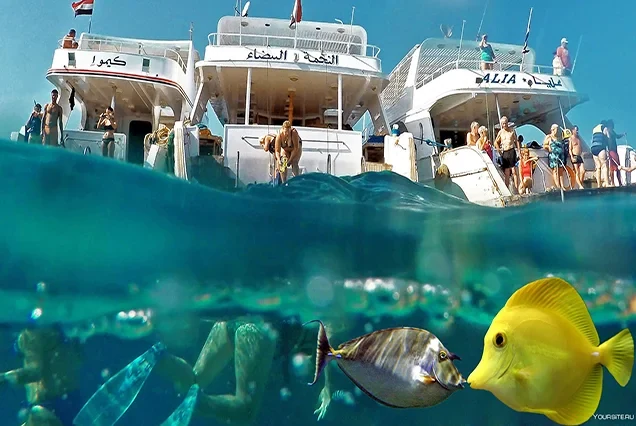 Escursione privata in barca alle isole di Hamata con snorkeling