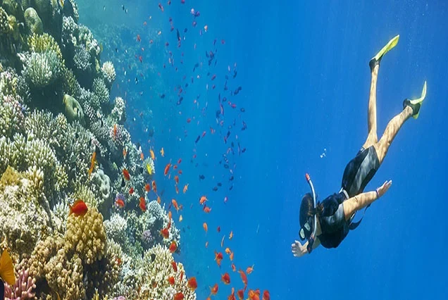 Escursione privata in barca alle isole di Hamata con snorkeling