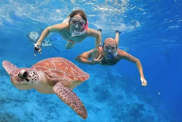 Escursione privata in barca alle isole di Hamata con snorkeling