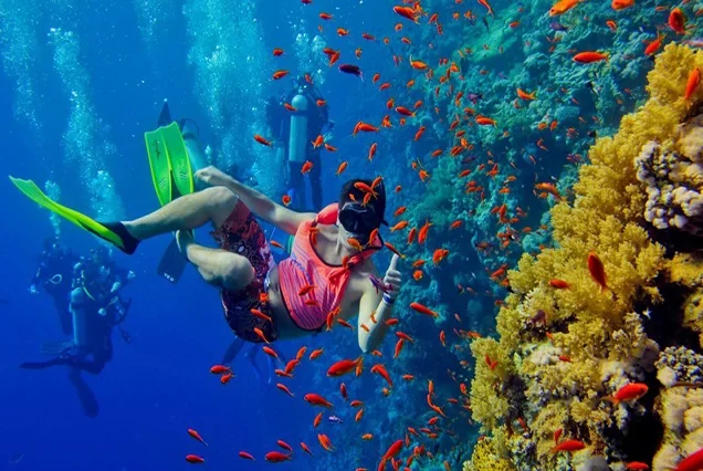 Escursione privata in barca alle isole di Hamata con snorkeling