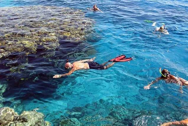 Escursione premium di snorkeling all’isola di Tiran da Sharm el-Sheikh
