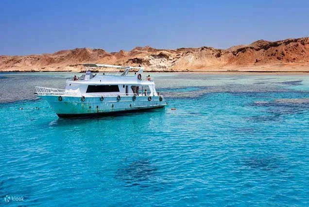 Escursione premium di snorkeling all’isola di Tiran da Sharm el-Sheikh
