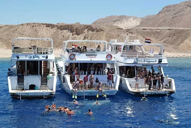 Escursione premium di snorkeling all’isola di Tiran da Sharm el-Sheikh