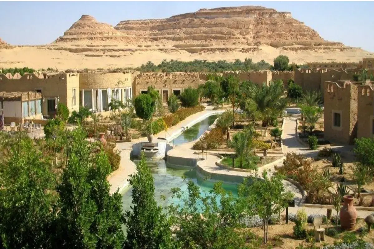 Tour privato di 5 giorni all’Oasi di Siwa dal Cairo con El Alamein