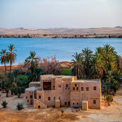 Tour privato di 5 giorni all’Oasi di Siwa dal Cairo con El Alamein