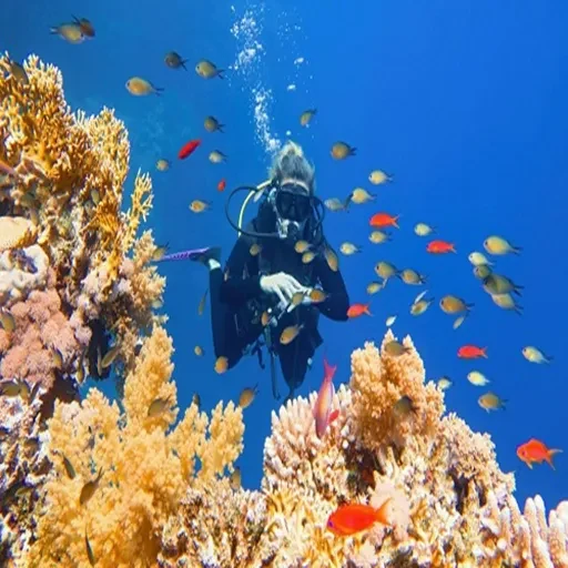 7 giorni – Il Cairo, crociera sul Nilo e Hurghada