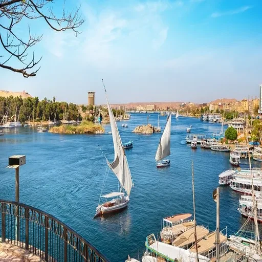 Tour privato di 2 giorni da Marsa Alam ad Abu Simbel e ai principali siti di Assuan
