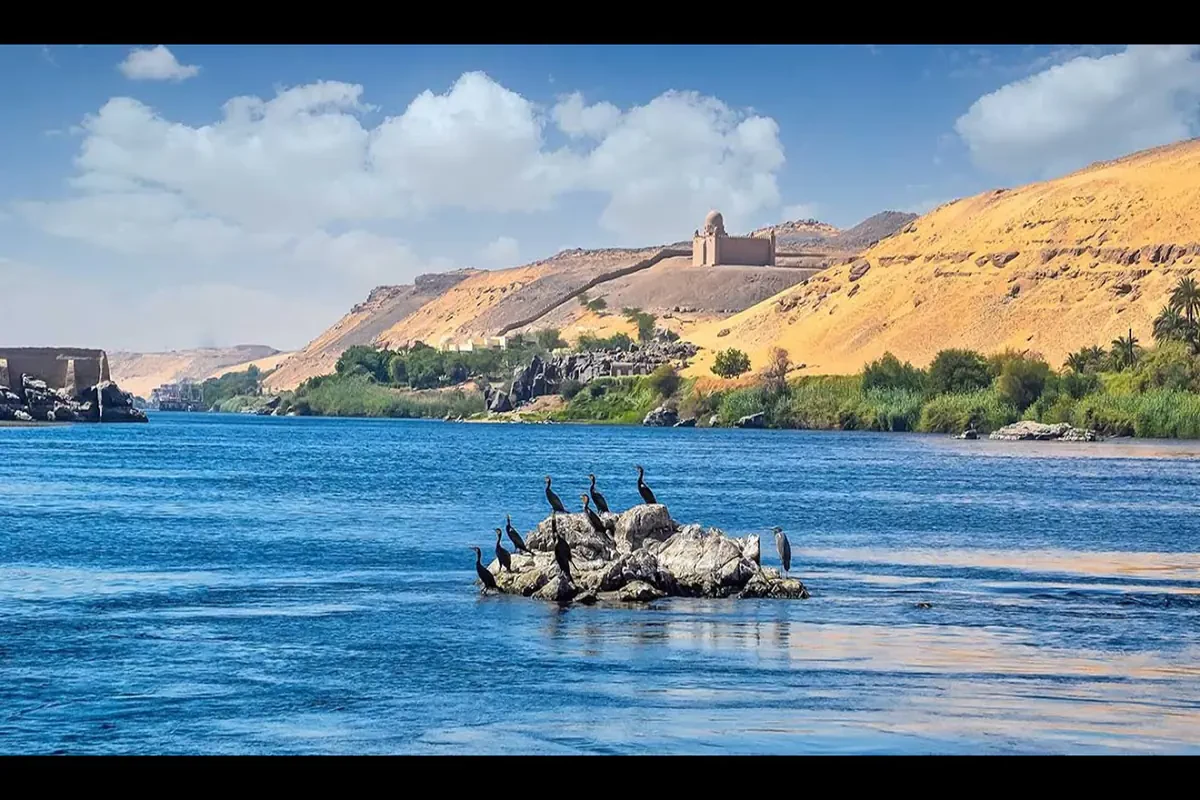 Tour privato di birdwatching ad Assuan