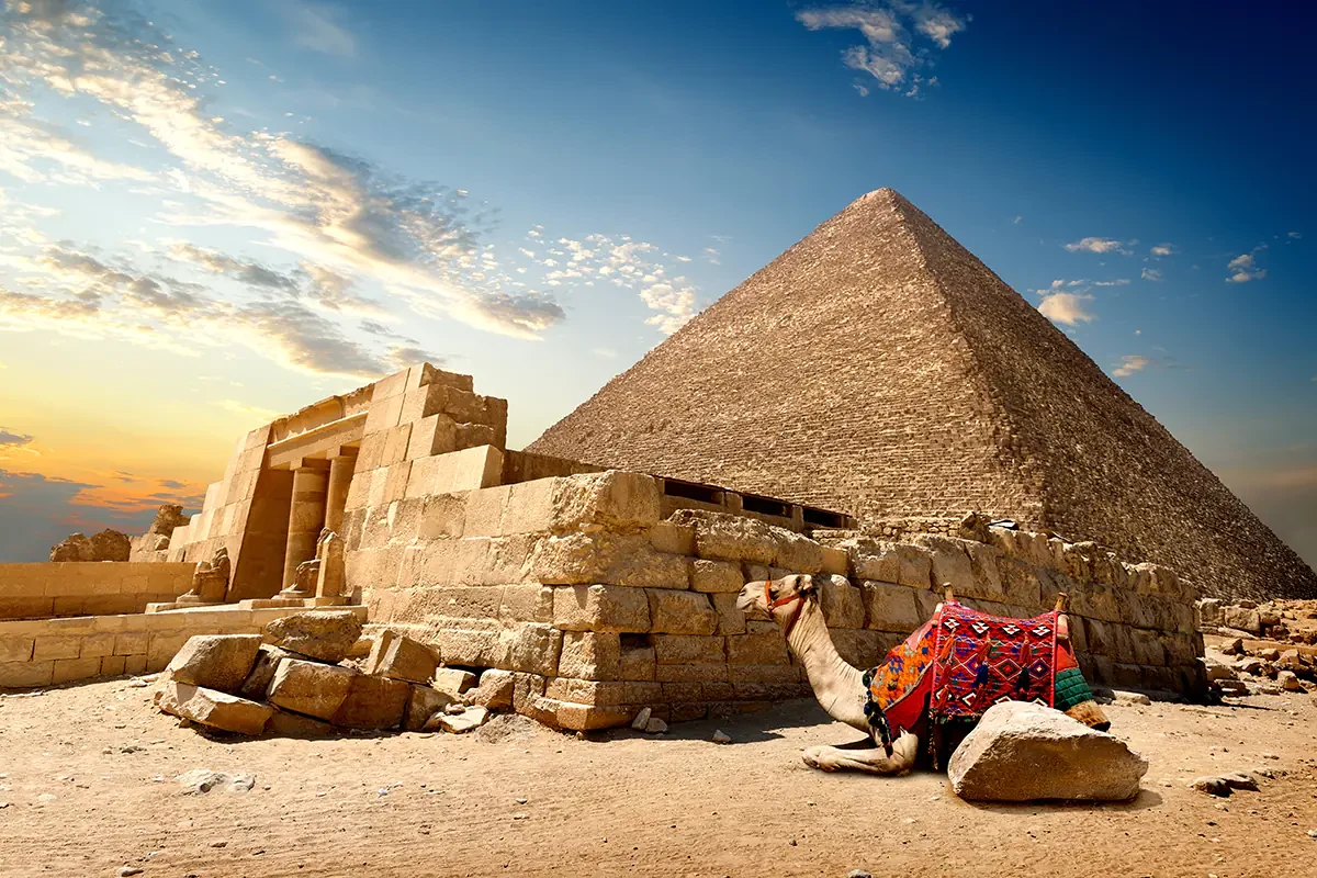 Tour privato delle Piramidi di Giza, Menfi e Saqqara