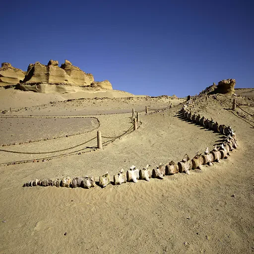 Escursione privata dal Cairo ai monasteri di Wadi El Natroun