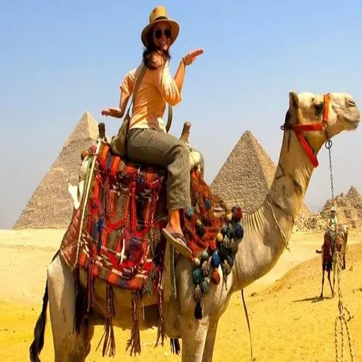 Escursione privata in aereo da Luxor al Grande Museo Egizio e alle Piramidi di Giza