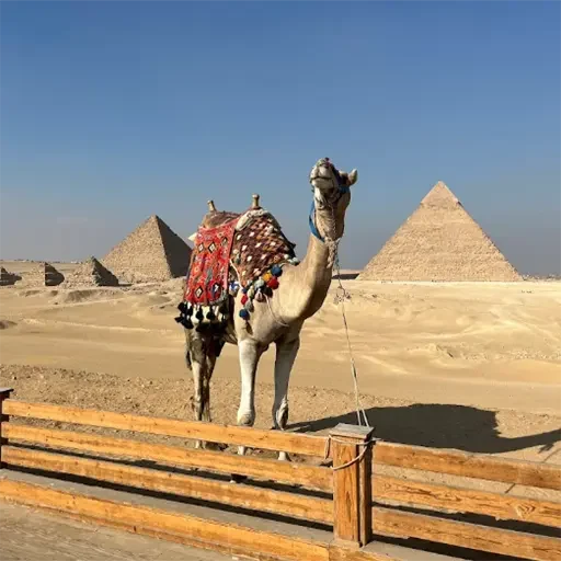 Escursione privata da Hurghada al Grande Museo Egizio e alle Piramidi di Giza