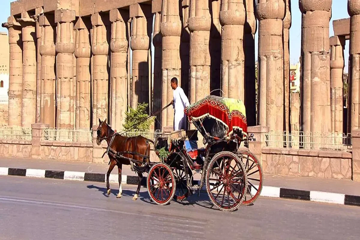 Romantico tour di Luxor in carrozza
