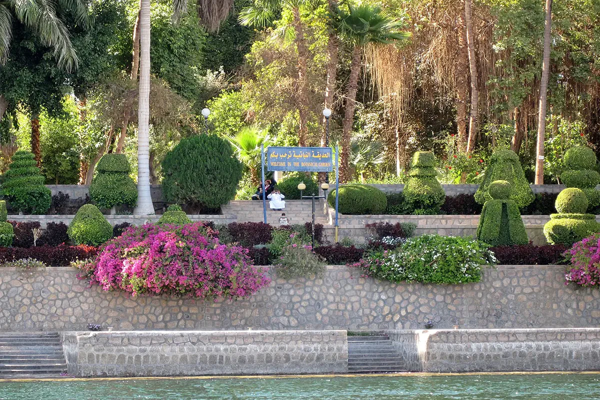 Escursione privata al Giardino Botanico e al Museo Botanico di Assuan