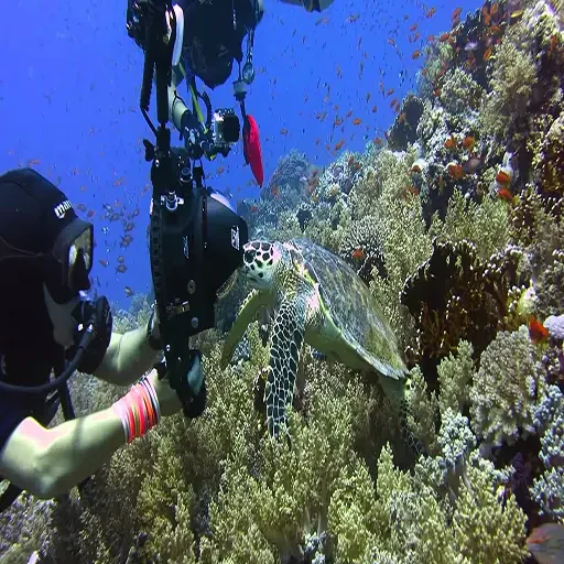 Immersione premium a Sharm el-Sheikh ed esplorazione dei relitti