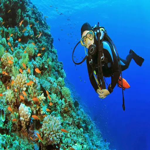 Immersione premium a Sharm el-Sheikh ed esplorazione dei relitti