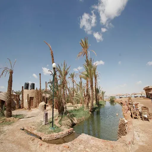 Spedizione privata di 4 giorni nell’Oasi di Siwa dal Cairo