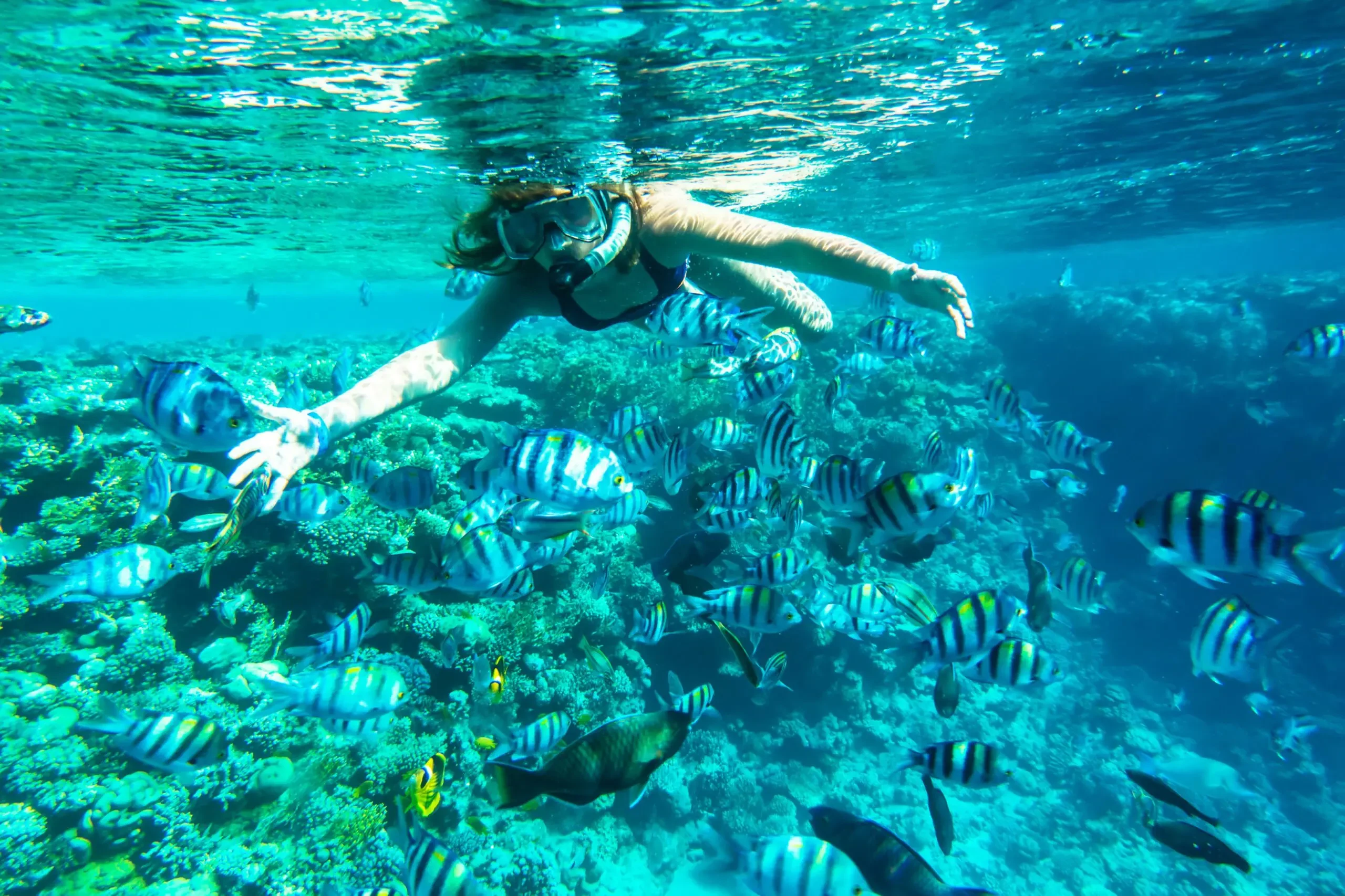 Snorkeling premium all’Isola Mahmya – fuga eco-friendly