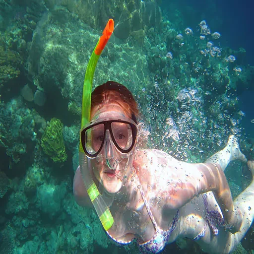 Escursione premium di snorkeling a Ras Mohammed