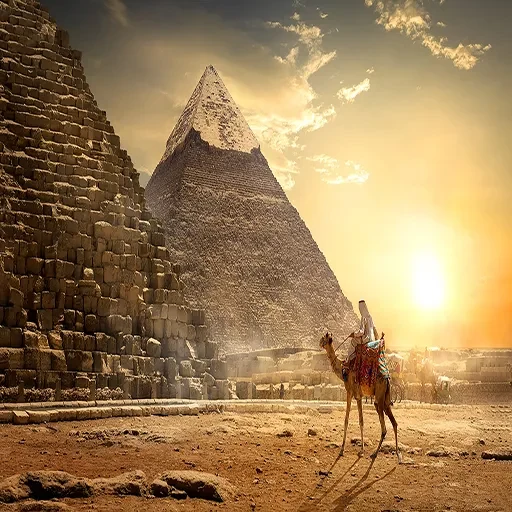 Escursione privata dal porto di Sokhna alle Piramidi di Giza e safari a Saqqara
