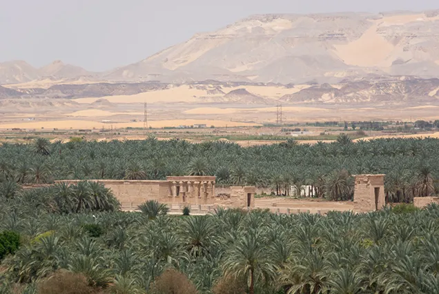 Tour di 8 giorni al Cairo e nelle oasi d’Egitto