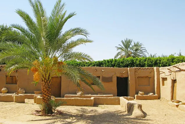 Tour di 8 giorni al Cairo e nelle oasi d’Egitto