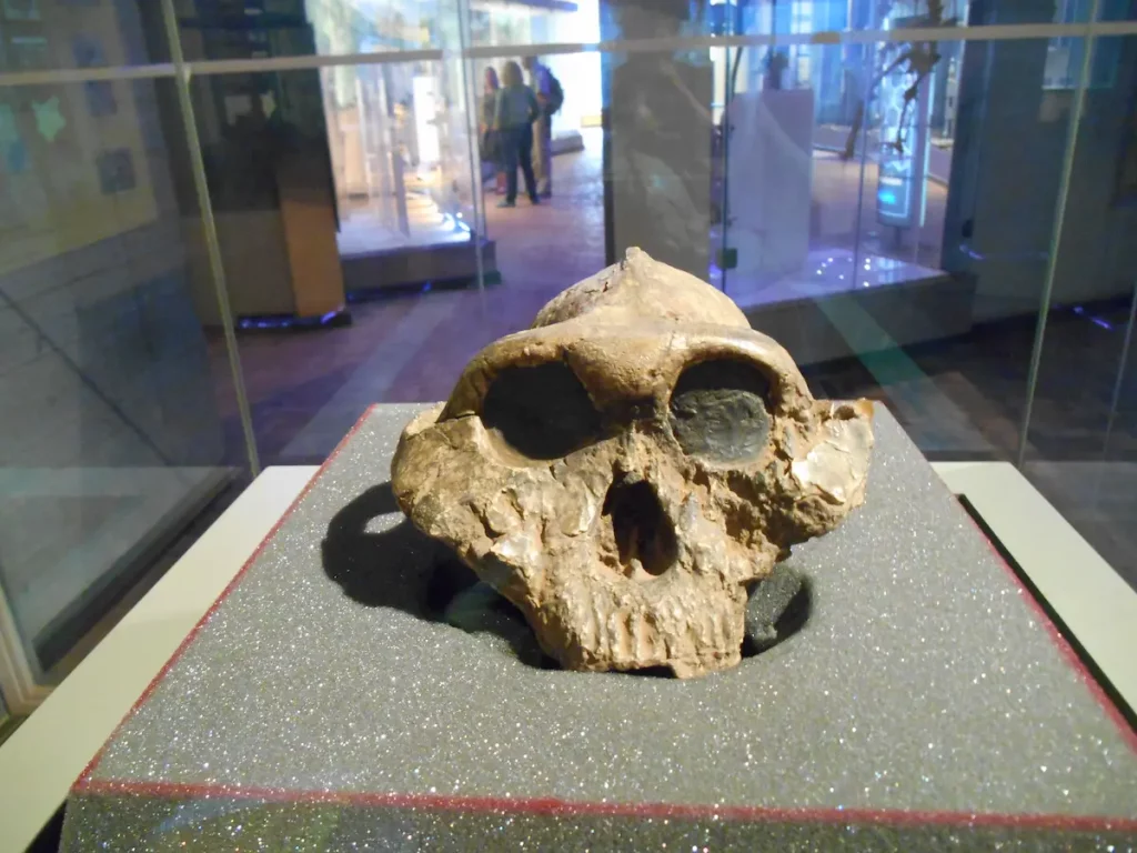 Tour del Cairo copto – Museo Nazionale e Cittadella