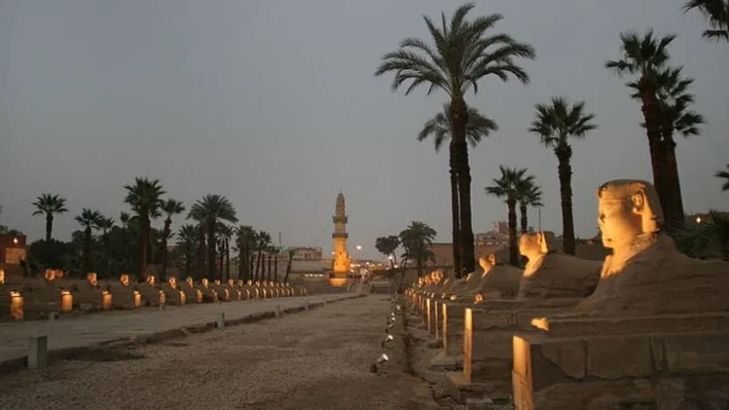 Escursione privata di un giorno dal Cairo a Luxor
