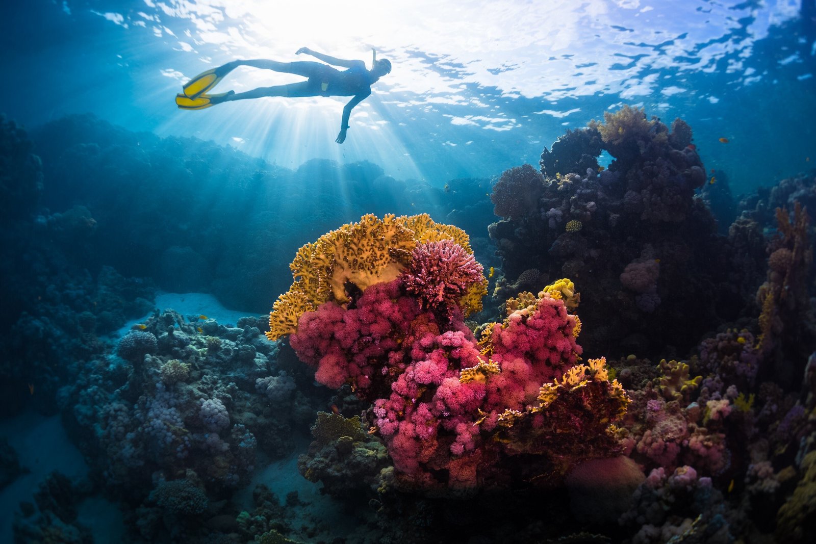 Tour ed escursioni a Hurghada